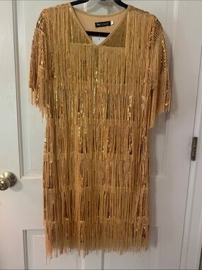 Pretty Guide Gold Fringe Sequin Shift Dress